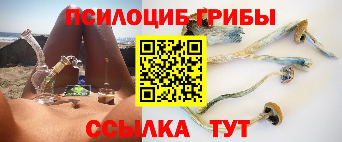 Галлюциногенные грибы Magic Shrooms  Псилоцибиновые грибы мицелий  купить   Вход с VPN  Среднеуральск 